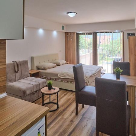 Apartmani Tvins Sokobanja Extérieur photo