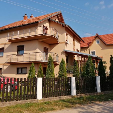 Apartmani Tvins Sokobanja Extérieur photo