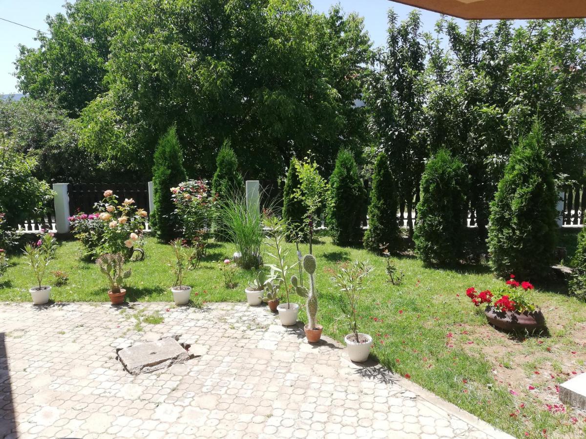 Apartmani Tvins Sokobanja Extérieur photo