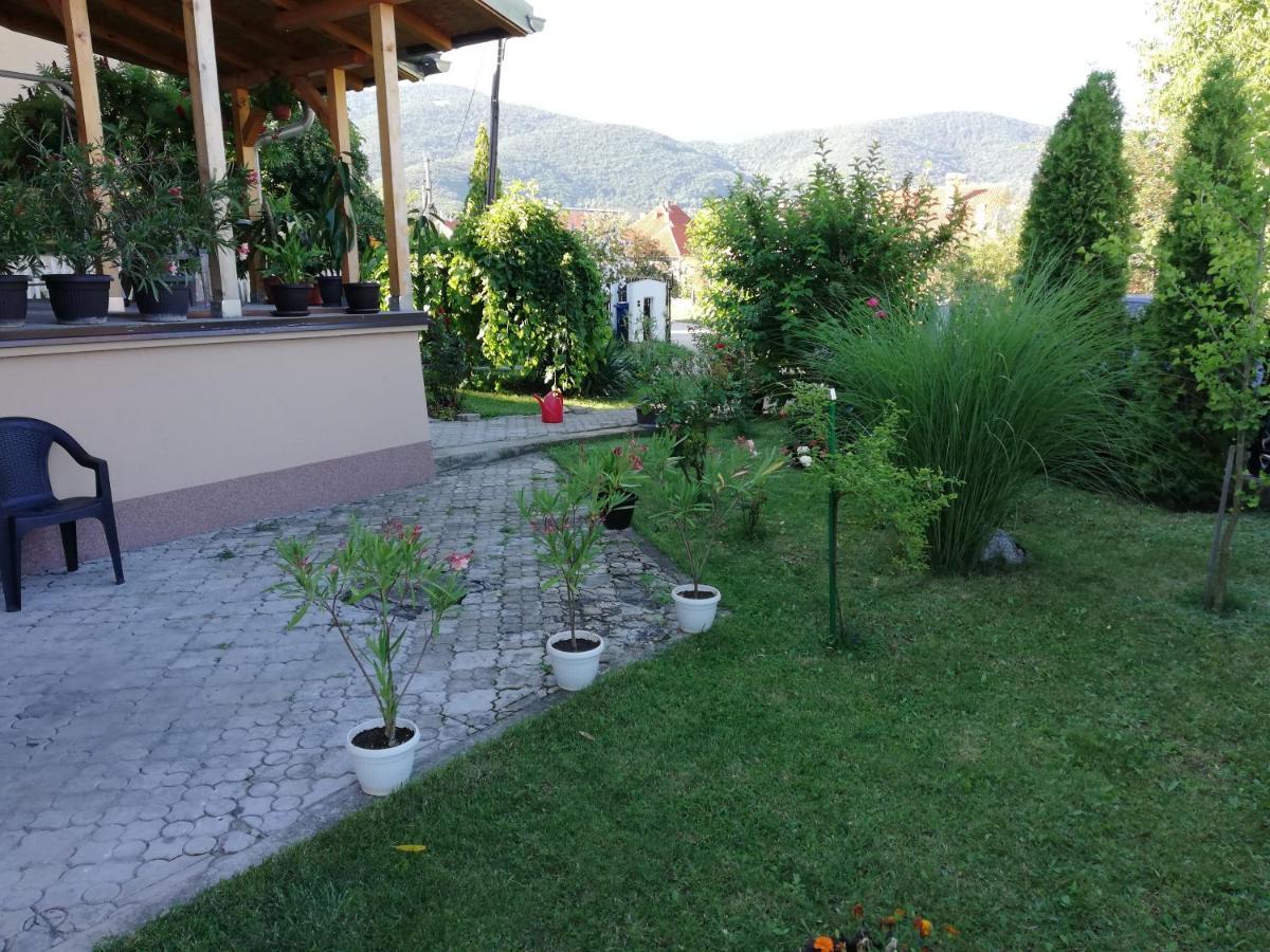 Apartmani Tvins Sokobanja Extérieur photo