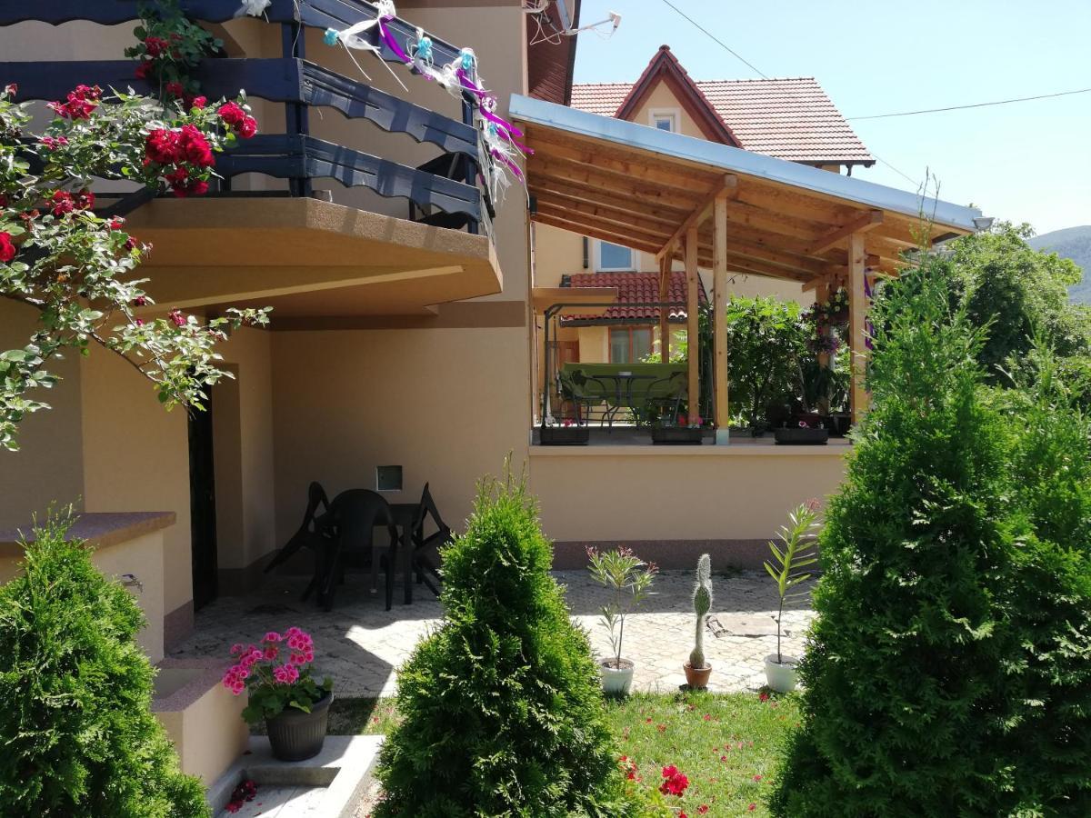 Apartmani Tvins Sokobanja Extérieur photo