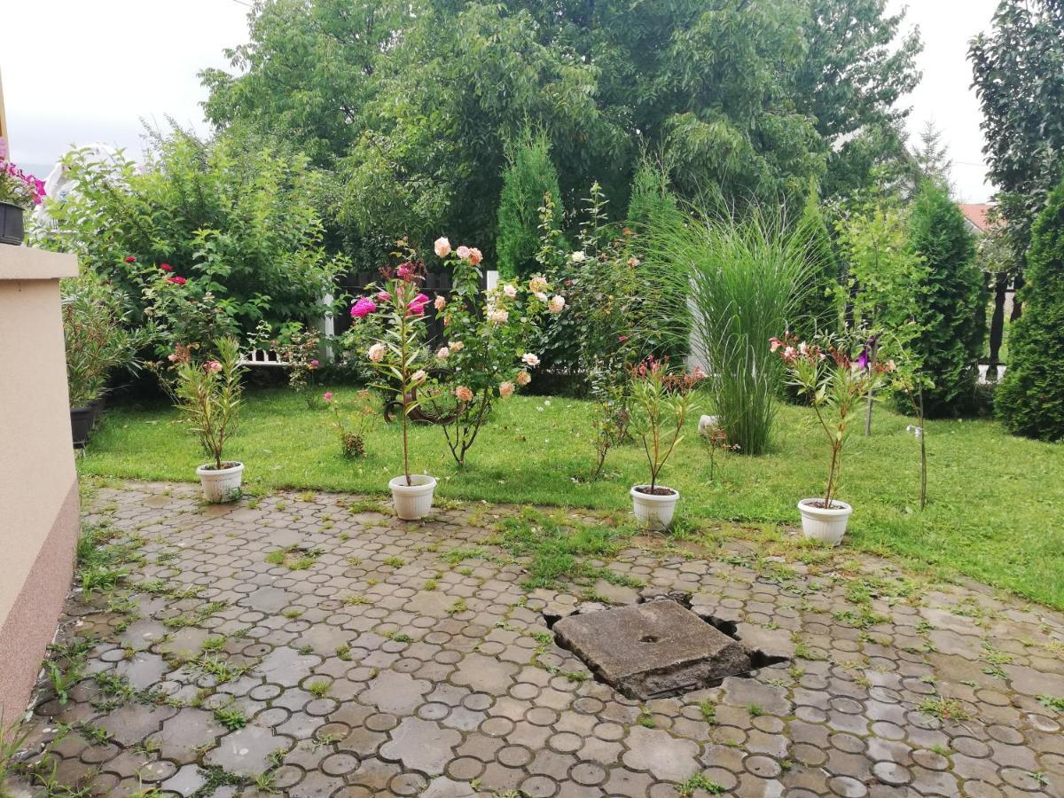 Apartmani Tvins Sokobanja Extérieur photo