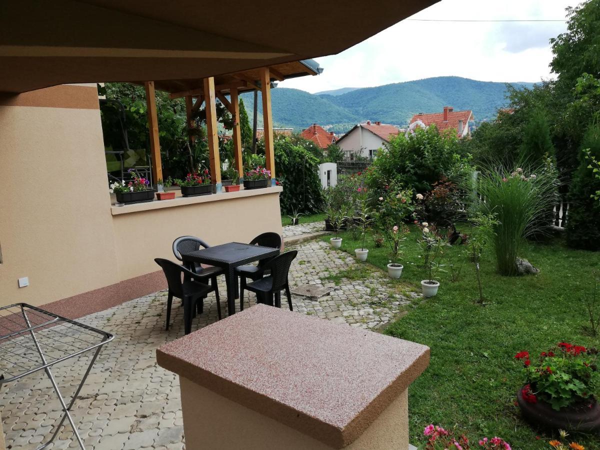 Apartmani Tvins Sokobanja Extérieur photo