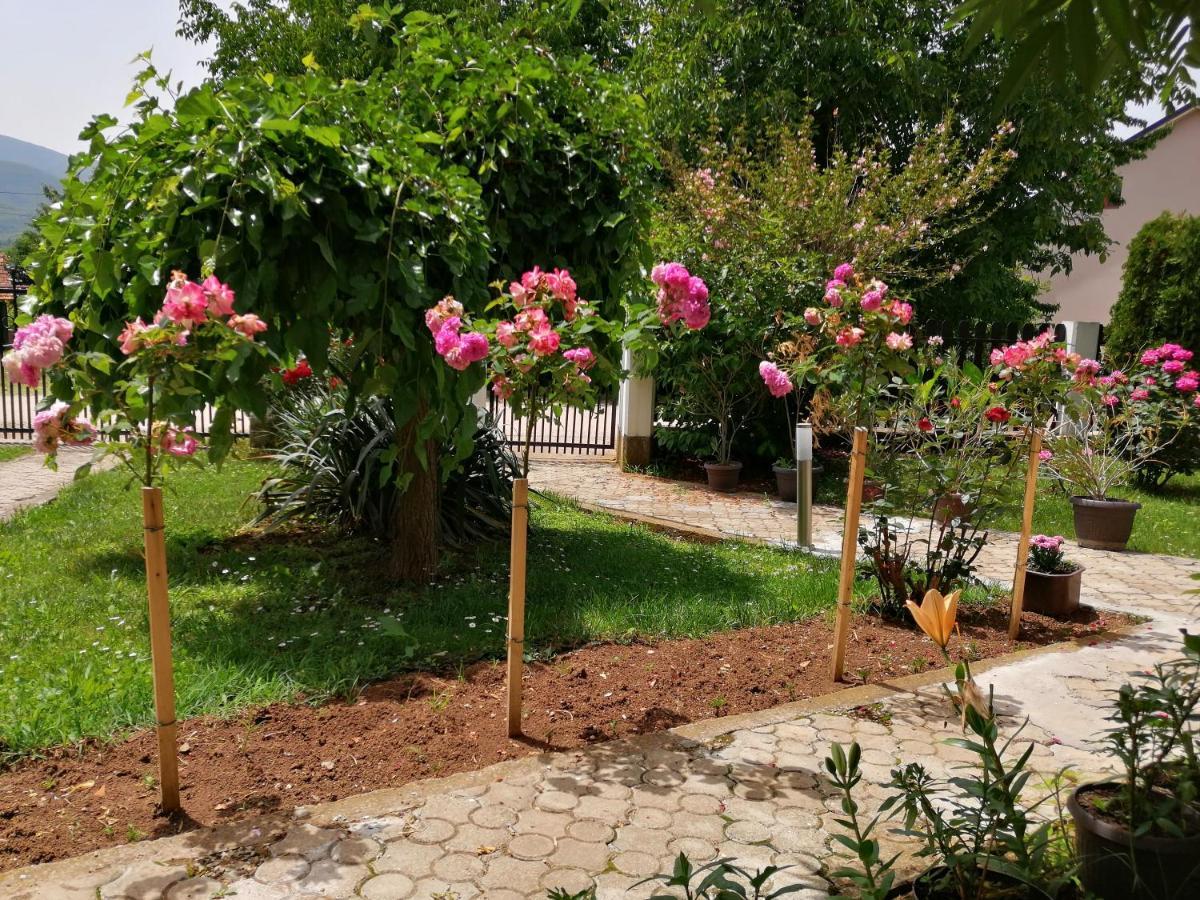 Apartmani Tvins Sokobanja Extérieur photo